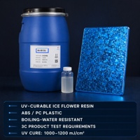 Résine de peinture à texture craquelée effet glace UV résistante à l'eau bouillante pour plastiques ABS et PC
