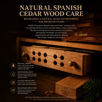 Armoire à cigares GUEVARA à température et humidité constantes, étagères en cèdre espagnol, écran tactile, humidor électrique pour cigares, idéal pour un cadeau