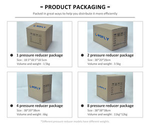 Regolatore di <span class=keywords><strong>Gas</strong></span> Azoto Liquido in Acciaio Inox 316 con Doppio Manometro, Ingresso 4000 Uscita 100, Montaggio a Pannello con Due Connettori a Scatto da 1/4 - Product Image 6