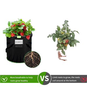 3 5 7 10gallon 100gal <span class=keywords><strong>Sac</strong></span> pour plantes <span class=keywords><strong>en</strong></span> tissu Sacs <span class=keywords><strong>de</strong></span> culture <span class=keywords><strong>de</strong></span> pommes <span class=keywords><strong>de</strong></span> <span class=keywords><strong>terre</strong></span> - Product Image 5
