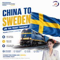 Logistique économique, transport international fiable par chemin de fer + camionnage, expédition DDP vers la Suède, assurance entrepôt gratuite