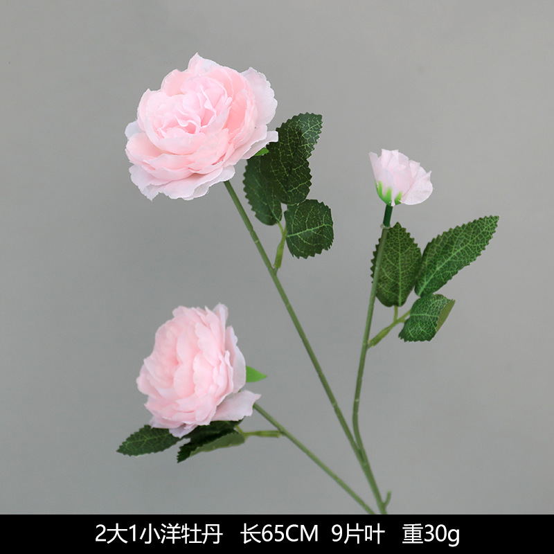2 adults + 1 child-western peony