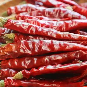 Qingchun Sichuan Hete Pot Kruiden Leverancier Groothandel Rode Ogen Chili Kanthari Chili Birdeye Chili Peper