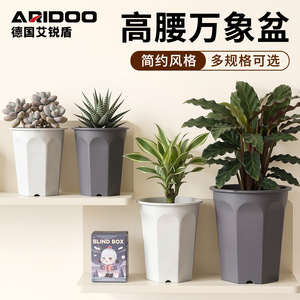 Airi Shield Octagonal PP Resin Flower Pots Durable Unbreakable Frosted Planters <b>for</b> Succulents Green Plants - Product Image 3