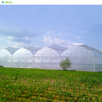 Serre tunnel agricole grand format à faible coût, structure métallique commerciale préfabriquée, film anti-goutte, couverture PE monocouche, multi-travées