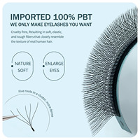 Extensions de cils Medylashes avec logo personnalisé, volume 0.05 0.07 Yy W V Shape, extensions de cils 3D 4D 5D 6D 7D 8D 9D Weave Yy