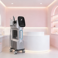 Machine à oxygène faciale prête à être expédiée pour resserrer les pores, raffermir et atténuer les ridules