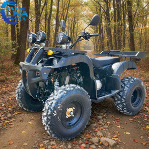 Cuatrimotos LNA de 250cc listas para enviar, piezas disponibles para adultos, listas para alquilar - Product Image 6