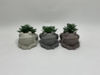 Mini pot de ciment grenouille mignon avec succulente artificielle