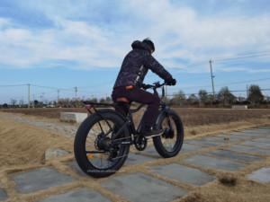 Vélo de montagne électrique tout-terrain 7 vitesses, batterie lithium 48V 17.4Ah, moteurs <span class=keywords><strong>Bafang</strong></span> doubles, pneus larges - Product Image 6