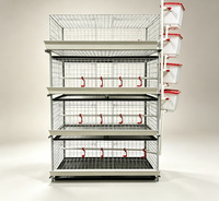 Revêtement résistant à la corrosion, cage à poulets à 3 niveaux, 60 poulets, 2 portes