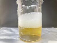 Extrait naturel de Quillaja Saponaria, extrait de Quillaja haute pureté, 98% de saponines pour les boissons