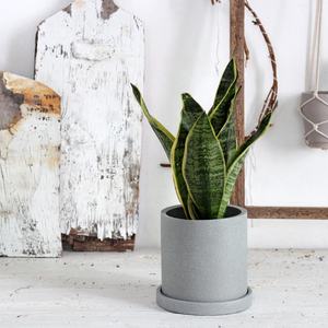 Pot de fleur cylindrique minimaliste moderne nordique pot de fleur en béton de haute qualité gris froid avec plateau - Product Image 5