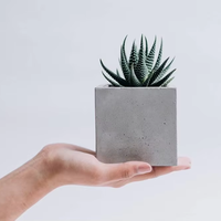 Pot de plantes intérieur et extérieur personnalisé en usine Pots de fleurs en ciment au design moderne minimaliste en béton à bon prix