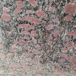 Encimera de <span class=keywords><strong>Granito</strong></span> <span class=keywords><strong>Azul</strong></span> Antiguo Night Rose con Diseño Moderno y Características Ecológicas - Product Image 2