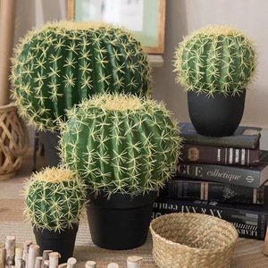 Cactus Artificiali, Piante di Cactus Finte in Vaso per Decorazione di Casa, Negozio e Ufficio - Product Image 2