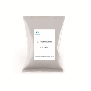 600 mil millones de CFU/G probióticos Lactobacillus Rhamnosus polvo de Lactobacillus Rhamnosus probiótico bacteriano de alta actividad - Product Image 5