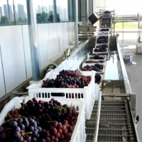 Solution clé en main pour la machine de fabrication de jus de raisin/vin Ligne de production de concentré de jus NFC de raisin