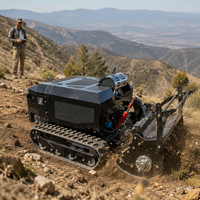 Débroussailleuse robuste Pioneer pour terrains en pente, prix direct usine, accessoires après-vente abondants, logistique rapide