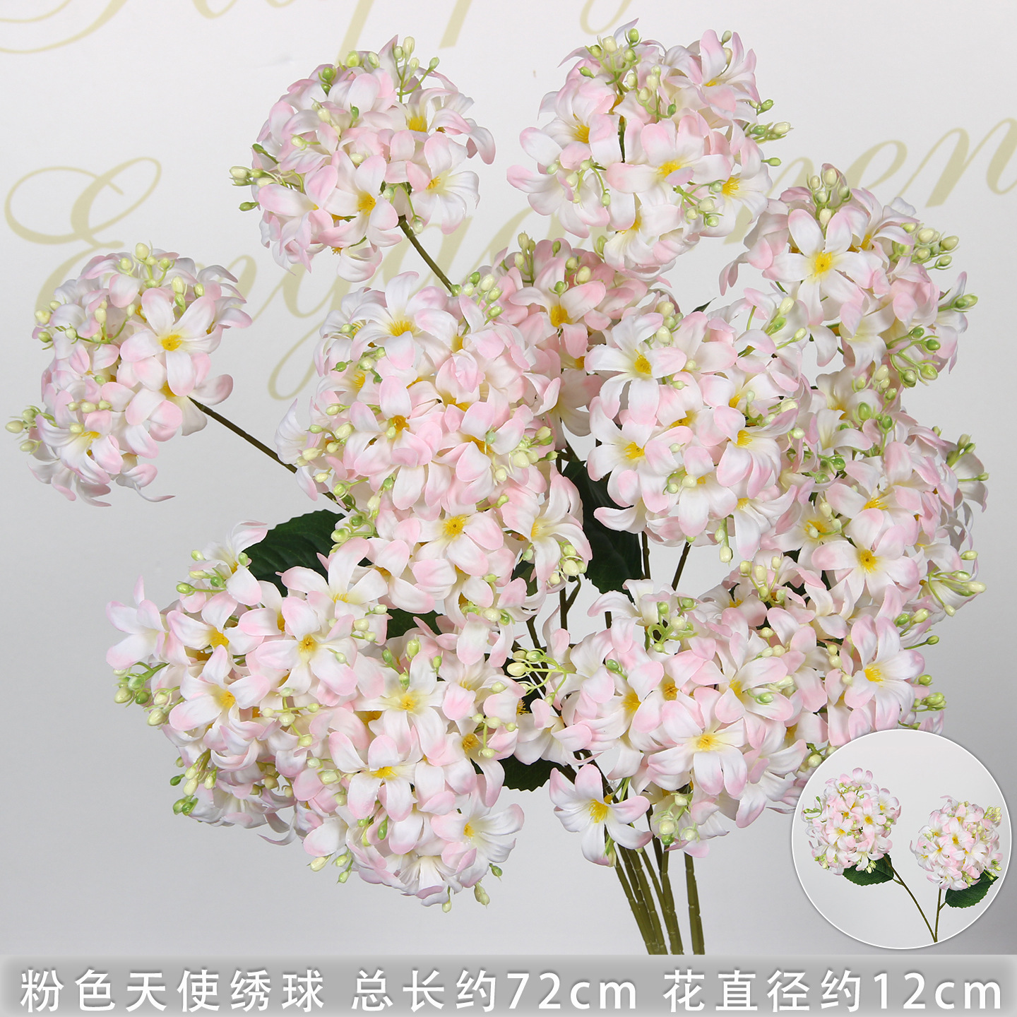 Hortensia ange rose à deux têtes