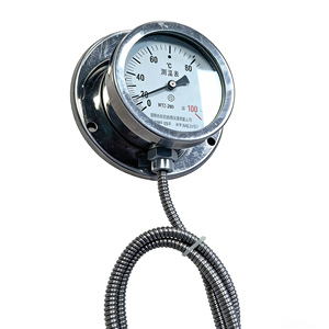 WTZ 280 <span class=keywords><strong>Thermometer</strong></span> Nanyang Huaye Zhang Heng - Product Image 3