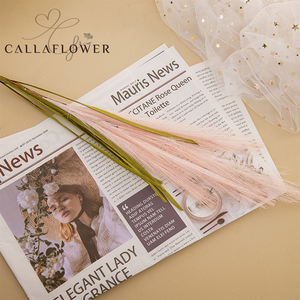 Multifuncional de las pampas de artificial estambre decoración de la boda de la flor - Product Image 5