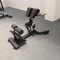 Chaise romaine de musculation multifonctionnelle en métal, réglable, stable et sécurisée, pour l'entraînement des muscles du dos, du tronc et des jambes, usage commercial en salle de sport