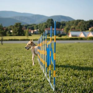 Profesional de alta calidad de 12 polos plegado mascota perro agilidad entrenamiento Slalom equipo tejido polos - Product Image 4