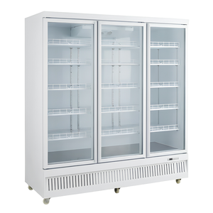 Equipo <span class=keywords><strong>de</strong></span> Refrigeración Comercial Completo para Almacenamiento en Frío, Diseño Móvil <span class=keywords><strong>de</strong></span> Vidrio para Conservación <span class=keywords><strong>de</strong></span> Flores Frescas y Cerveza, 2x3x2 - Product Image 1