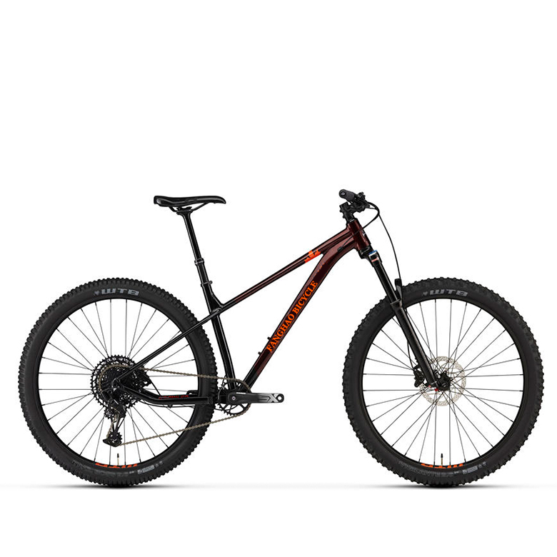 Professional Downhill Mountain Bike Full Suspension 29