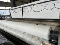 Géotextile non tissé résistant aux perforations pour le drainage et la séparation