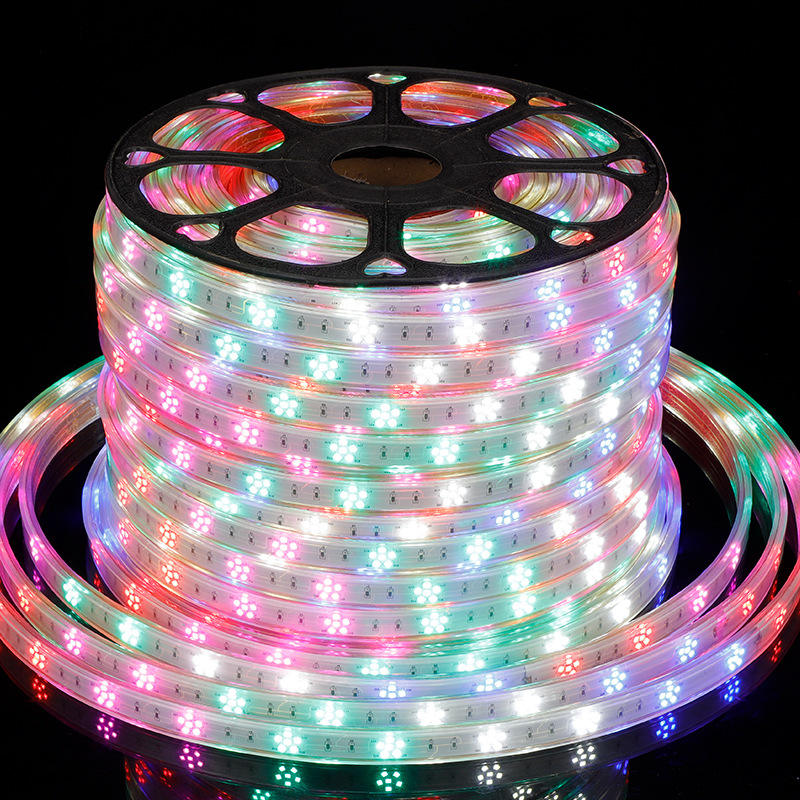 Gmxx040 6Color Led Strip 220V Smd2835 120Leds/M Flexible Tape Light Plum Dance Rgb Led Light Strip