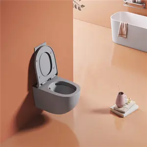 European Standard Modern Hotel Rimless Flush Ceramic Wall Mounted Toilet Bowl Bathroom Matt Grey Color Wall Hung Toilet
