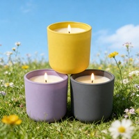Pot à bougie en verre givré FENGJUN avec couvercle en liège, 8 oz, finition mate, porte-bougie pour spa, aromathérapie, décoration de chambre