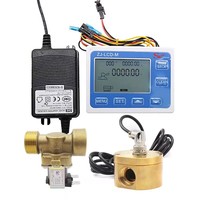 Kit Kombinasi Pengontrol Aliran Kuantitatif LCD-M Dengan Sensor Aliran 1'' Katup Solenoid untuk Sistem Pengisian/Penyiraman/Irigasi