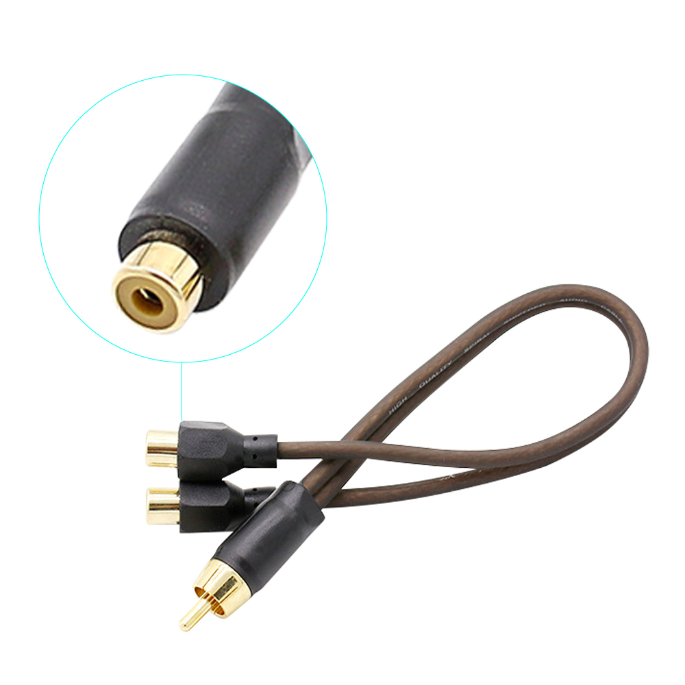 Brown One male and two females