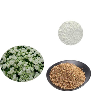 Chất lượng cao <span class=keywords><strong>cnidium</strong></span> <span class=keywords><strong>monnieri</strong></span> chiết xuất từ quả <span class=keywords><strong>cnidium</strong></span> <span class=keywords><strong>monnieri</strong></span> chiết xuất bột <span class=keywords><strong>cnidium</strong></span> <span class=keywords><strong>monnieri</strong></span> chiết xuất - Product Image 6