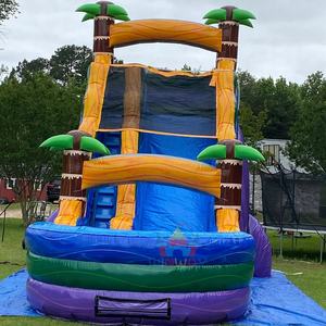 Tobogán acuático inflable comercial de una sola vía <span class=keywords><strong>con</strong></span> <span class=keywords><strong>piscina</strong></span> para diversión acuática - Product Image 5