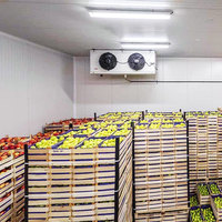 Commerciële Bananenrijpingsmachine Chambre Froide Koeleenheid Koelkamer Opslagcontainer Voor Groenten En Fruit