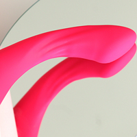 Neuerscheinung Erwachsenen-Sexspielzeug Klitoris-Vibrator Starke Vibration USB-Aufladbar Wasserdicht IPX7 Anpassbare Frequenz für Paare