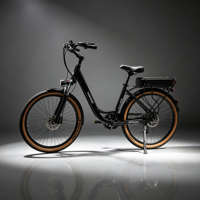 Cadre en alliage d'aluminium certifié, pneus de 26 pouces, batterie en option 250W, chaîne antirouille, fourche avant avec amortisseur, vélo électrique