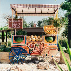 Customized Candy Tropical Fruit Display Mobile <strong>Food</strong> <strong>Cart</strong> 200 Units Capacity 2/4 Wheels <strong>Indoor</strong>/Outdoor Use Wedding Use E-Candy - Product Image 6