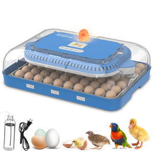 Wonegg điều khiển độ ẩm tự động công suất kép thương mại 70 yếu tố lò ấp trứng - Product Image 2