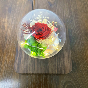 Lampada a fiori stabilizzati lampada a rosa levitante magnetica lampada da tavolo galleggiante <span class=keywords><strong>regalo</strong></span> romantico <span class=keywords><strong>per</strong></span> donna <span class=keywords><strong>regalo</strong></span> <span class=keywords><strong>personalizzato</strong></span> <span class=keywords><strong>per</strong></span> amica - Product Image 6