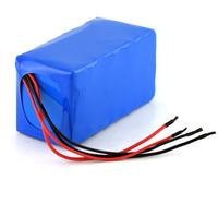 Batterie lithium-ion, rechargeable 12V, 24/48/60V, 40/45/50/100ah, 18650