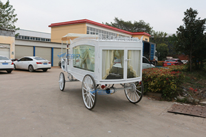 Nouveau style magnifique et spécial : Cercueil-voiture funéraire de luxe américain pour cérémonies funéraires - Product Image 2