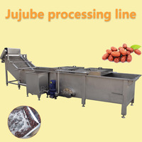 Complete Automatische Industriële Geconcentreerde Jujube Dadels Productieverwerkingsmachine