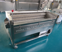 Kleine Industriële Groente Fruit Dunschiller Peeling Machine Slicer Aardappel India