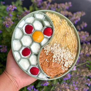 Cuencos de comida para mascotas de silicona ZMaker con ventosa, cuenco antideslizante para lamer perros de grado alimenticio, diseño de pescado y panal, cuenco para perros alimentador lento - Product Image 6