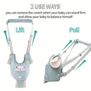 <b>Baby</b> Walk Stand up Child Learning Belt for 8-24 Month Old <b>Babies</b> Activity <b>Walking</b> <b>Harness</b> - Product Image 2